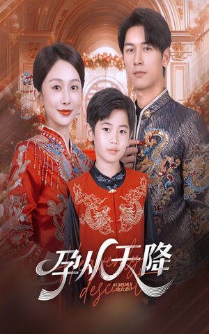 孕从天降(70集) 孕从天降(70集)全集免费