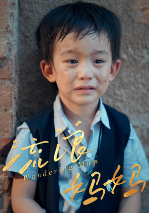 流浪妈妈（30集）短剧介绍