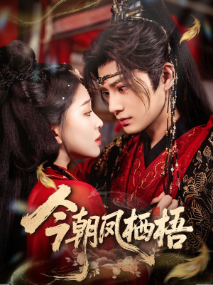 今朝凤栖梧（68集）全集一次看完