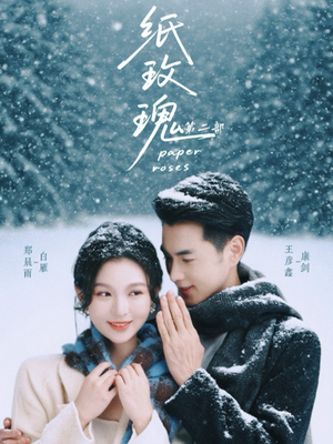 纸玫瑰第二部(80集) 纸玫瑰第二部(80集)全集完整版