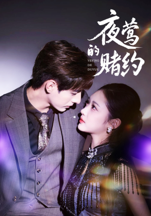 夜莺的赌约（71集）超爽短剧推荐