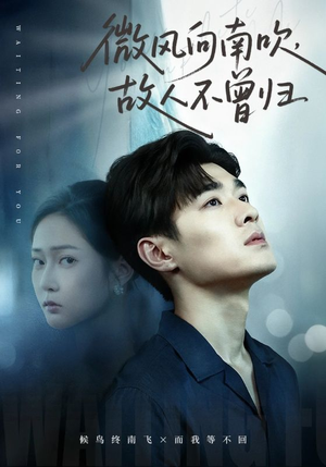 微风向南吹,故人不曾归(72集) 微风向南吹,故人不曾归(72集)超好看古装短剧