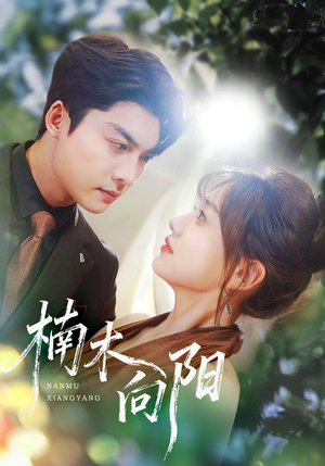 楠木向阳(70集) 楠木向阳(70集)快来看短剧