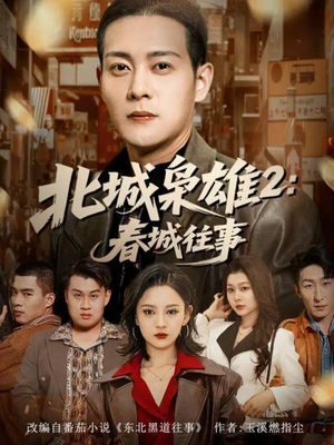 北城枭雄2春城往事（90集）在线免费观影