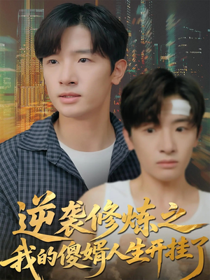 逆袭修炼之我的傻婿人生开挂了（65集）经典回顾免费看