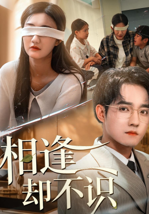 相逢却不识（77集）女频短剧推荐