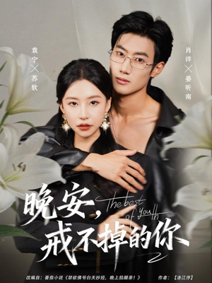 晚安，戒不掉的你（68集）追短剧看全集