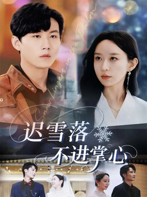 迟雪落不进掌心（79集）第二季