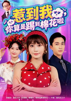 惹到我,你算是踢到棉花啦(67集) 惹到我,你算是踢到棉花啦(67集)全集都在这里了