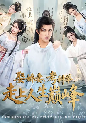 娶娇妻，考科举，走上人生巅峰（80集）短剧片段分享