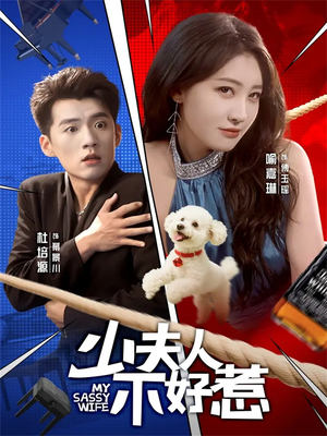 少夫人不好惹（61集）最火短剧热播