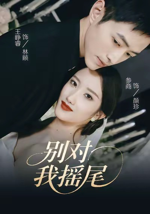 别对我摇尾(59集) 别对我摇尾(59集)口碑之选免费看