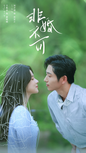 非婚不可(65集) 非婚不可(65集)精彩短剧上线