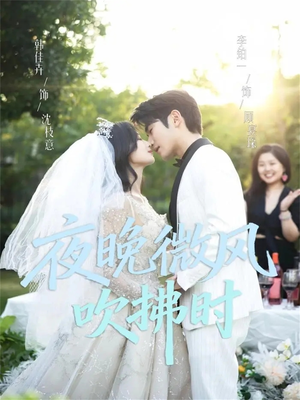 夜晚微风吹拂时（61集）直接追到结尾