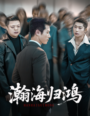 瀚海归鸿(74集) 瀚海归鸿(74集)热门了短剧