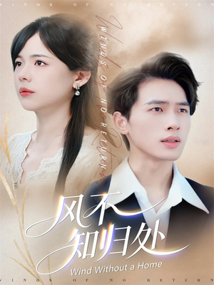 风不知归处（78集）免费短剧资源