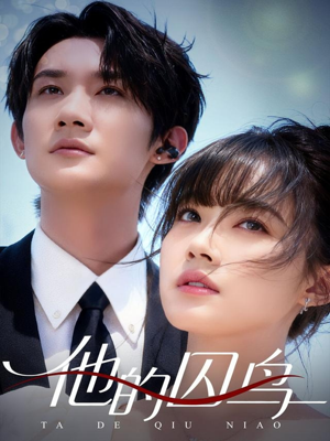 他的囚鸟（60集）直接追到结尾