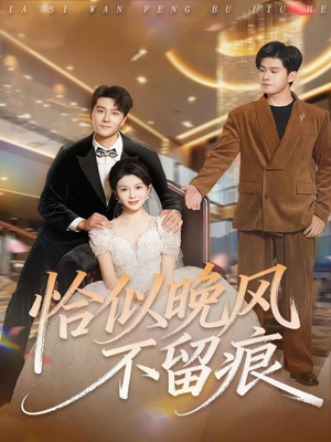 恰似晚风不留痕（61集）在线观看完整版