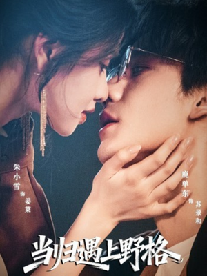 当归遇上野格（66集）分享好看的短剧