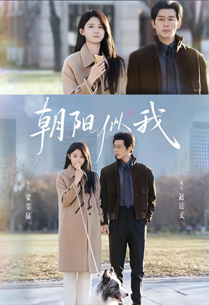朝阳似我（81集）大结局太过瘾了