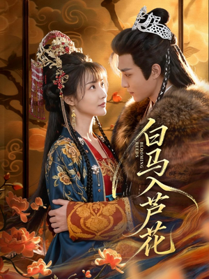 白马入芦花(59集) 白马入芦花(59集)短剧免费看