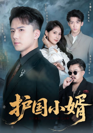 护国小婿(60集) 护国小婿(60集)全网短剧抢先看