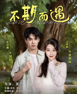 不期而遇(62集) 不期而遇(62集)精彩短剧天天看