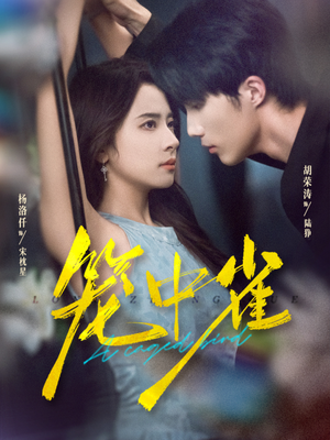 笼中雀(65集) 笼中雀(65集)独家短剧免费看