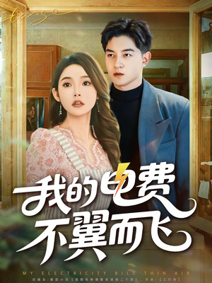 我的电费不翼而飞（60集）剧情简介