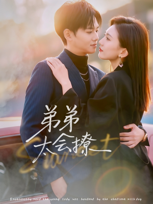 弟弟太会撩(81集) 弟弟太会撩(81集)爆款短剧抢先看