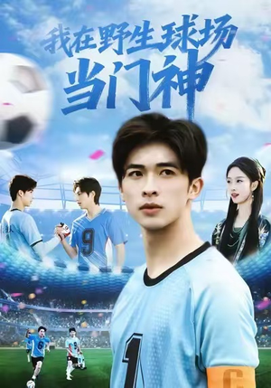 我在野生球场当门神(31集) 我在野生球场当门神(31集)精彩短剧免费看
