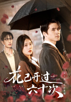 花已开过六十次（72集）短剧精彩推荐