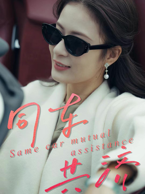 同车共济（39集）热门短剧分享