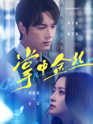 长姐她竟是隐藏大佬（60集）热门了短剧