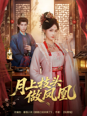 月上枝头做凤凰(80集) 月上枝头做凤凰(80集)海量资源免费看