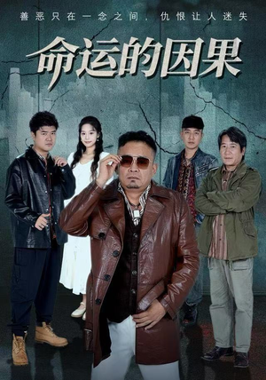 命运的因果(60集) 命运的因果(60集)免费短剧看不停