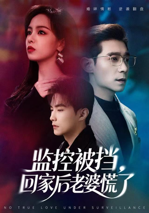 监控被挡，回家后老婆慌了（60集）高分佳作免费看