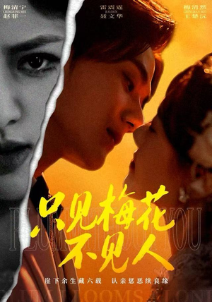 只见梅花不见人（63集）看过的人都说好