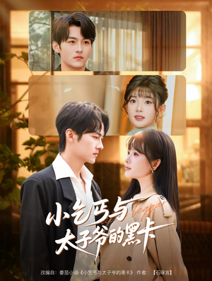 小乞丐与太子爷的黑卡(60集) 小乞丐与太子爷的黑卡(60集)精彩短剧下载