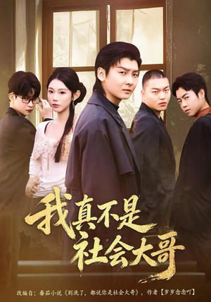 我真不是社会大哥（80集）80到100集