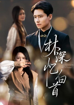 林深忆白首(60集) 林深忆白首(60集)推荐热门短剧