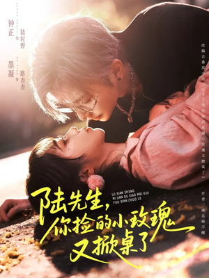 陆先生,你捡的小玫瑰又掀桌了(74集) 陆先生,你捡的小玫瑰又掀桌了(74集)全网短剧抢先看