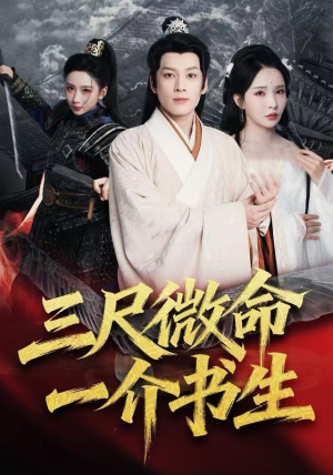 三尺微命一介书生(70集) 三尺微命一介书生(70集)短剧热门合集