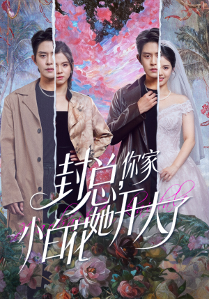 封总,你家小白花她开大了(60集) 封总,你家小白花她开大了(60集)一起看短剧