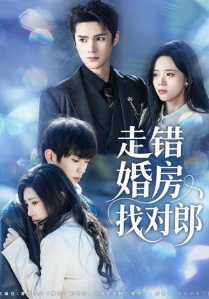 走错婚房找对郎(50集) 走错婚房找对郎(50集)热门爆款短剧