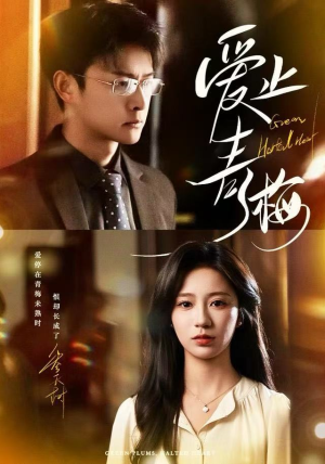 爱止青梅（60集）好看短剧分享