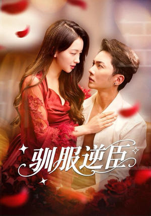 驯服逆臣（80集）全剧看到大结局