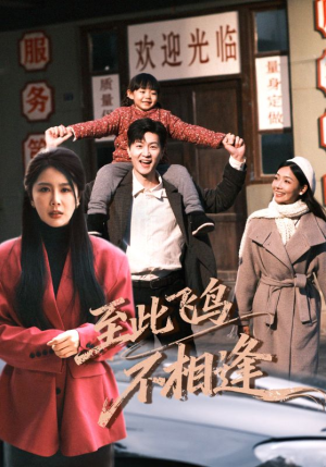 至此飞鸟不相逢(70集) 至此飞鸟不相逢(70集)演员表