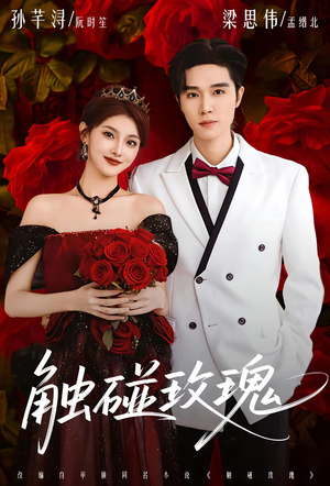 触碰玫瑰（80集）热播短剧免费看