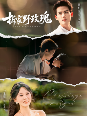 拆家野玫瑰(80集) 拆家野玫瑰(80集)剧好看短剧推荐